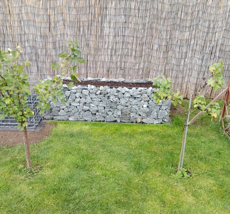 gabion zahony
